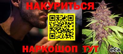 тгк Будённовск