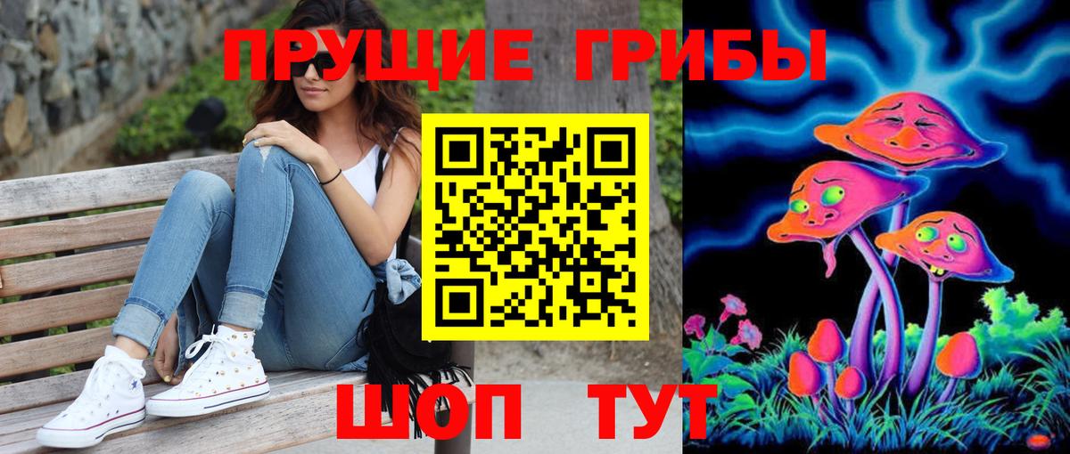 Псилоцибиновые грибы мицелий Протвино