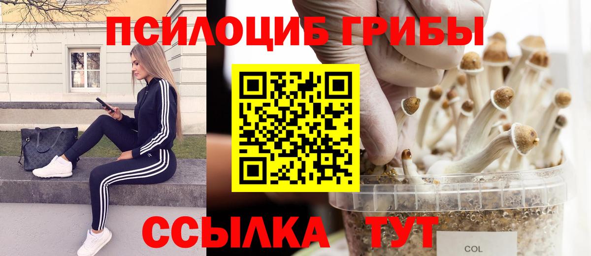 Псилоцибиновые грибы мицелий  Вход с VPN  как найти   Протвино 